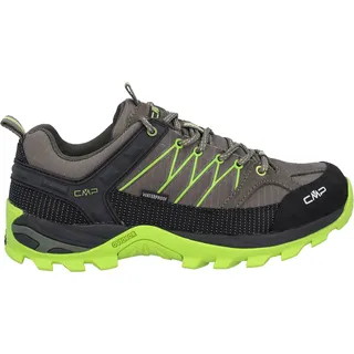 Militare/Moss 43