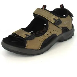 ECCO Offroad Herren nutmeg brown 45