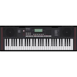 Roland E-X10 Keyboard | 61-Tasten Piano, perfekt für Einsteiger & Unterricht | 600+ Sounds | Stereo-Lautsprecher | 140 integrierte Songs | MIDI-Steuerung via USB | Mikrofon- & Aux-Eingang