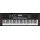 Roland E-X10 Keyboard | 61-Tasten Piano, perfekt für Einsteiger & Unterricht | 600+ Sounds | Stereo-Lautsprecher | 140 integrierte Songs | MIDI-Steuerung via USB | Mikrofon- & Aux-Eingang