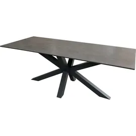 Mr. Deko Gartenmöbelset Diningsessel Cadiz mit Tisch Almeria 200 x 90 cm - Grau