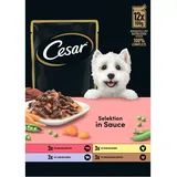 Cesar Selektion Fleisch und Gemüse in Sauce 12 x 100 g