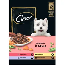 Cesar Selektion Fleisch und Gemüse in Sauce 12 x 100 g