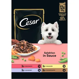 Cesar Selektion Fleisch und Gemüse in Sauce 12 x 100 g