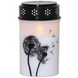 Star Trading LED Grabkerze Dandelion, 12 cm weiß/schwarz Plastik Batterie