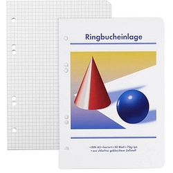 Ringbucheinlagen Kugel und Kegel A5 kariert, 50 Blätter, 10 Satz