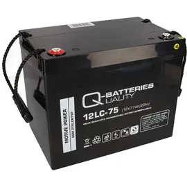 Akkuman.de Akku kompatibel E-Mobile und Scooter Proflex 2x 12V 75Ah