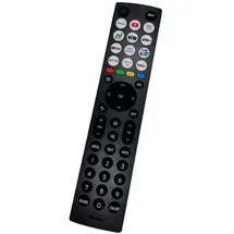 Hisense EN2G36H original