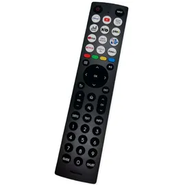 Hisense EN2G36H original