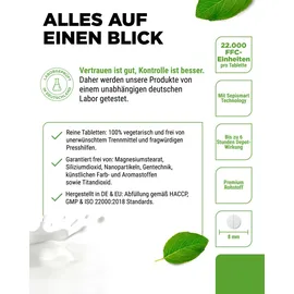 Vit4ever Laktase Depot 22.000 Tabletten 365 St.