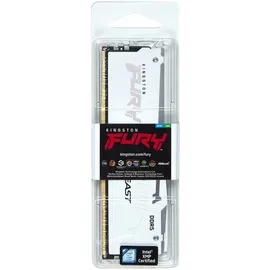 Kingston FURY Beast DDR5 6000MT/s RGB 32GB Modul (1x32GB) CL36 Weiß KF560C36BWEA-32