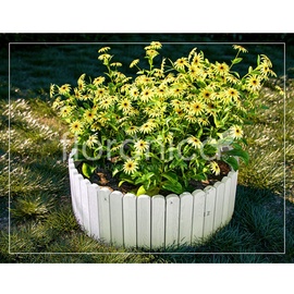 Floranica Rollborder Flexibler Holzzaun Rolborder - 200 x 20 cm - Weiß - Beeteinfassung Rasenkante Deko/Gartenzaun für Obstgärten Wege