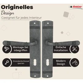 Domino Langschildgarnitur BB-Buntbart Nickel Loft M95