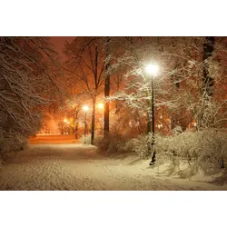 Fototapete PAPERMOON "Park im Winter", bunt, B:4,00m L:2,60m, Vlies, Tapeten