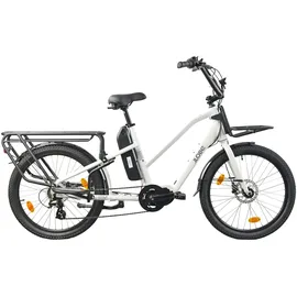 Llobe Cargo City E-Bike Cargado