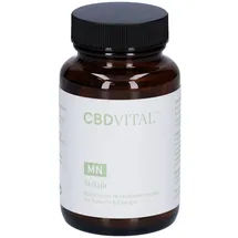 CBD Vital Shilajit Kapseln (60St)