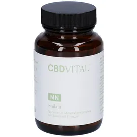 CBD Vital Shilajit Kapseln (60St)