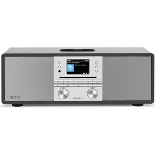 TechniSat Digitradio 650 (DAB+, DAB, FM, Bluetooth, WLAN), Radio, Grau, Silber
