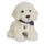 Teddy-Hermann Labradoodle sitzend