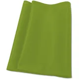 Ideal 7310006 grün Textil-Filterüberzug Luftreiniger AP30/40 Pro