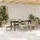 vidaXL Garten Essgruppe 7-tlg. Beige