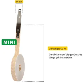 Schellenberg Gurtfix 14 mm breit (System MINI), 4,3 m, Beige