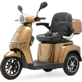 Efun ECO ENGEL 506 Braun, 25 km/h, 1000 Watt
