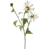 Hti-Living HTI-Living, Kunstpflanzen, Frühlingsblume 74 cm Kunstblume (74 cm)