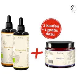 Set: Darm - Mensch