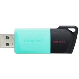 Kingston DataTraveler Exodia M 256GB