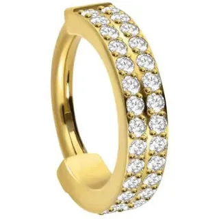 PIERCINGLINE Titan Segmentring Clicker ZWEI EINGEFASSTE KRISTALLREIHEN