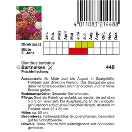 Philipp Klein GmbH Bartnelken Prachtmischung