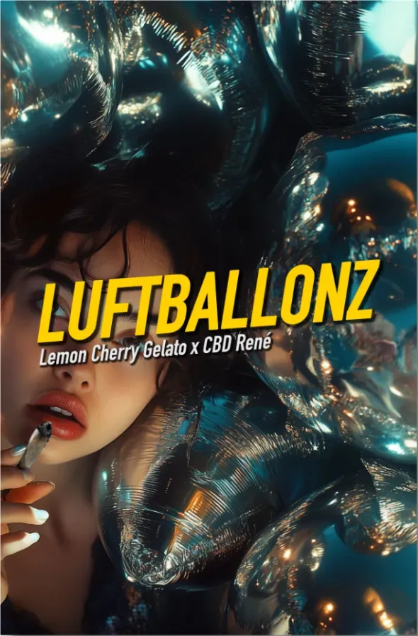 Dope Seeds Luftballonz 3 Samen