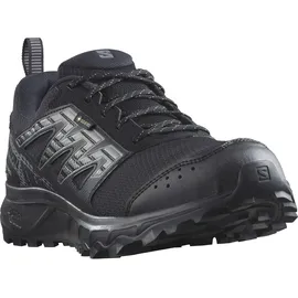 Salomon Wander GTX