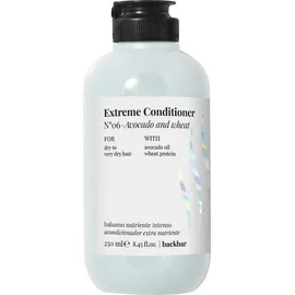 FarmaVita Extreme Conditioner No.06 Pflegespülung 250 ml