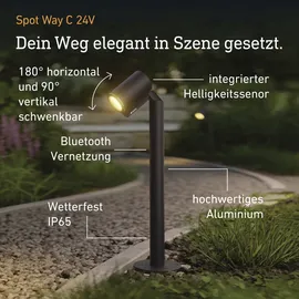 Steinel Außenstrahler Glas/Metall 572,0 cm 7,84 W Anthrazit