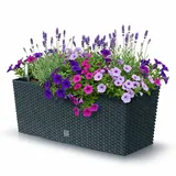 Prosperplast Rato Case 51,4 x 19 x 18,65 cm Anthrazit