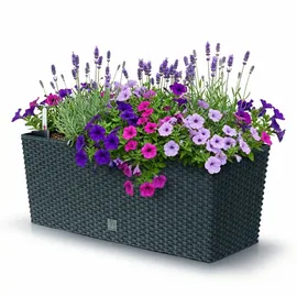 Prosperplast Rato Case 51,4 x 19 x 18,65 cm Anthrazit