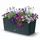 Prosperplast Rato Case 51,4 x 19 x 18,65 cm Anthrazit