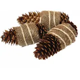 ConeFire k-cfj-100 Zapfenzünder Premium 100er-Karton