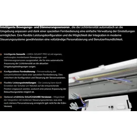 SpectrumLED Limea Gigant Pro 1 120 cm grau