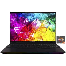 CAPTIVA Ultimate Gaming R10-1273GE 16'' AMD Ryzen 9 9955HX 64 GB RAM 2 TB SSD RTX 5090 Win11 Home