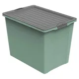 Rotho Aufbewahrungsbox Compact 57 x 39,5 x 43,5 cm 1-tlg. grün