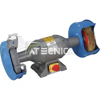 FERVI Doppelschleifmaschine schleifgerät schleifbock winkelschleifer 750W Fervi 0556