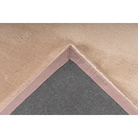 Padiro Kayoom "Rabbit Light 525",