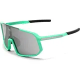 VAN RYSEL Taaien S3  - Fahrradbrille  -  Kategorie 3  - Grün/Grau