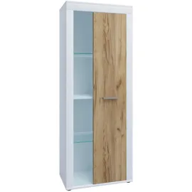 VCM Vitrine Usilo 60 x 35 x 159 cm Mehrfarbig