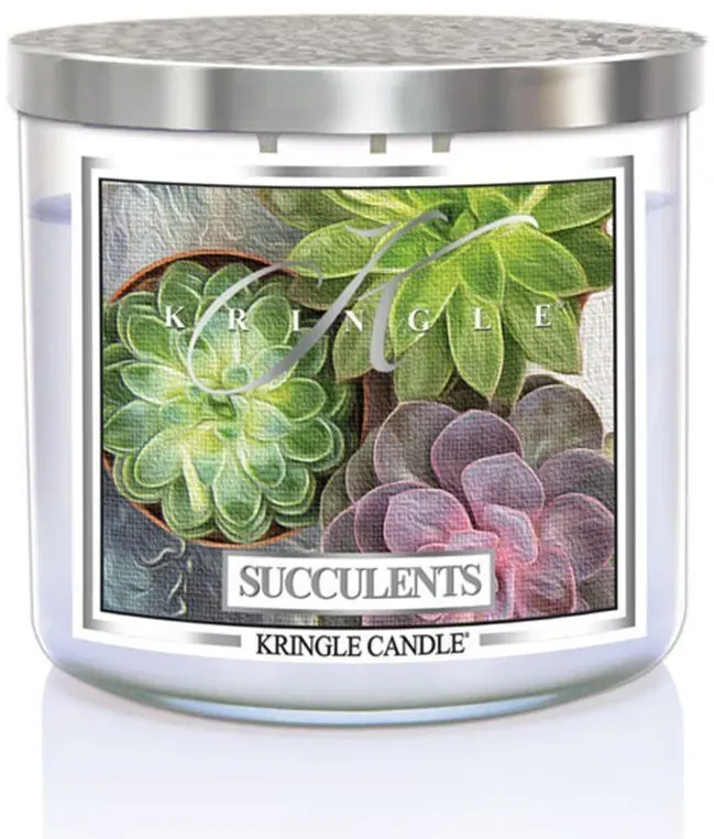 Succulents 396g Tumbler 3-Docht