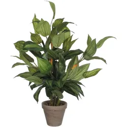 Mica Decorations Kunstpflanze Hosta Ø40 H 65 cm grün, PVC, grauer Topf