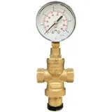 BieTal® Wasserdruckminderer Wasserdruckregler mit Manometer 3/8 Zoll Innengewinde